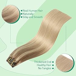SURNEL Golden Brown to Caramel Blonde Clip in Hair