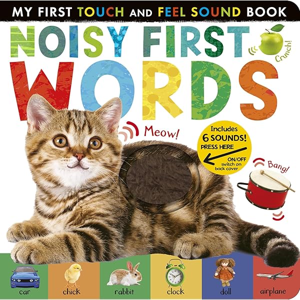Amazon.com: Noisy First Words: My First Touch and Feel Sound Book
