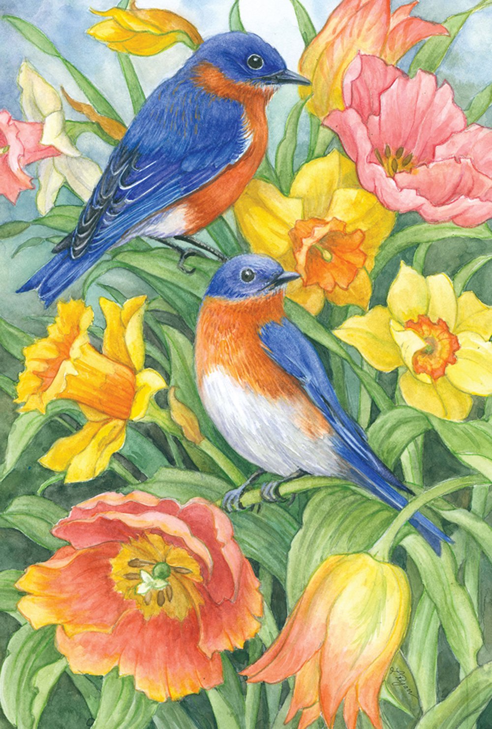 Best Iris Flower Garden Flag