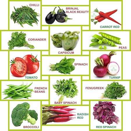 Only For Organic Fifteen Winter Vegetable Seeds(6700+ Seeds)With Cocopeat Block & Instruction Manual