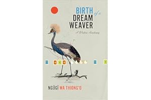 Birth of a Dream Weaver: A Writer's Awakening
