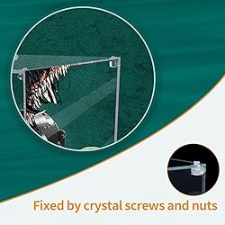 Acrylic Display Case for