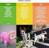 PAWZ Dog Boots Oranges - Natural Rubber, Biodegradable, Waterproof view 4
