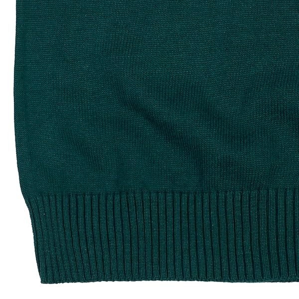 COZEEME MENS V-NECK PULLOVER LONG SLEEVE SWEATER GREEN X-LARGE