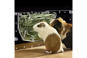 GuineaLoft™ 2-in-1 Hay & Food Feeder for Guinea Pigs, Rabbits & Small Pets – No-Waste Hay Rack with Dual-Compartment Bowl, Easy Cage Mount, Space-Saving Design