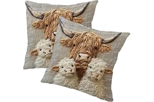 2Pcs Throw Pillow Covers 18x18, Short Plush Decorative Square Pillpw Case Decor Cushion for Sofa Couch Bed, Farmhous Decor Vi