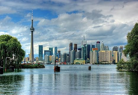 Featured image of post Muralswallpaper Canada It is time to refresh your home and