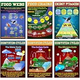 Pasimy 6 Pcs Ecosystem Science Posters, Food Web Classroom Charts, Food Web | Ecosystem Science Posters Set, Food Chain and Food Web Charts, Energy Pyramid Biology Posters for Classroom Wall Decor
