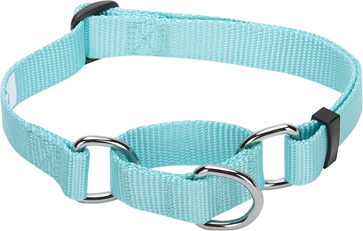 teal martingale dog collar