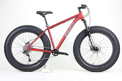gravity fat tire bike