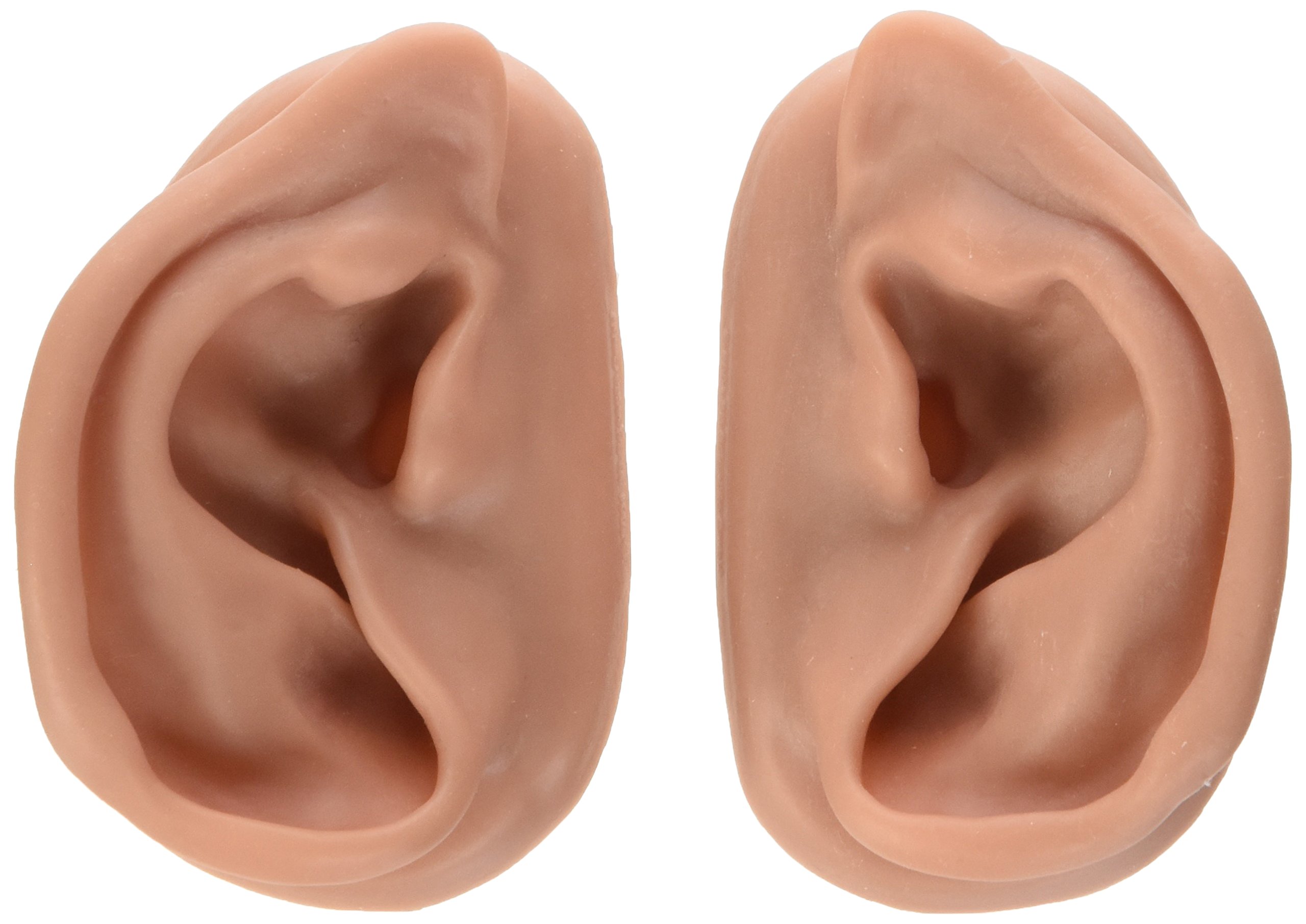 3B Scientific 3B Ear set, one left and right ear