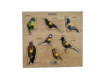 Wissen Economy Wooden Bird Learning Puzzle