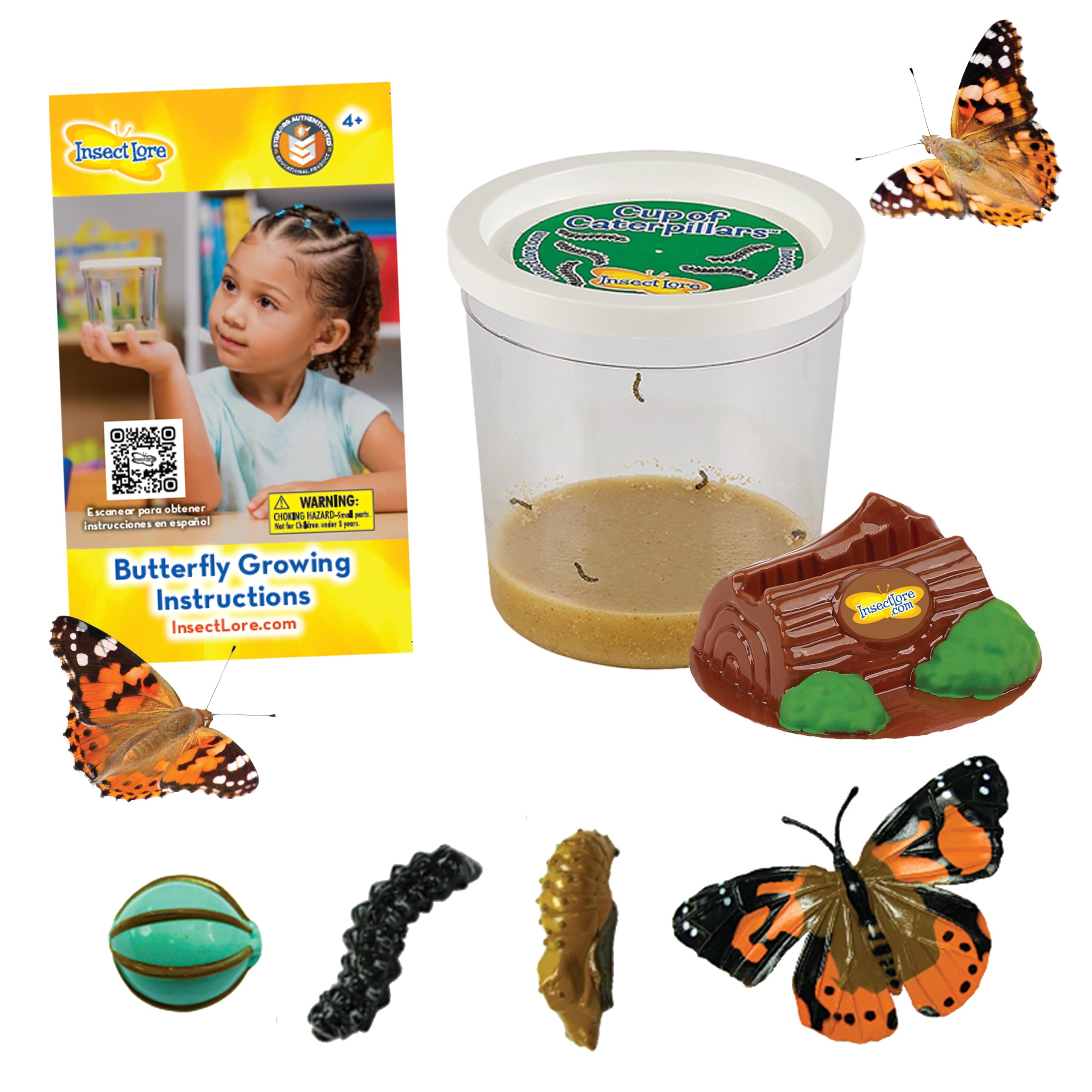 Insect Lore Cup Caterpillars - 5 Live Painted Lady Caterpillars with Food - Includes Figurines - Refill Kit for Butterfly Garden Habitat - STEM Science Activity for Kids and Classrooms