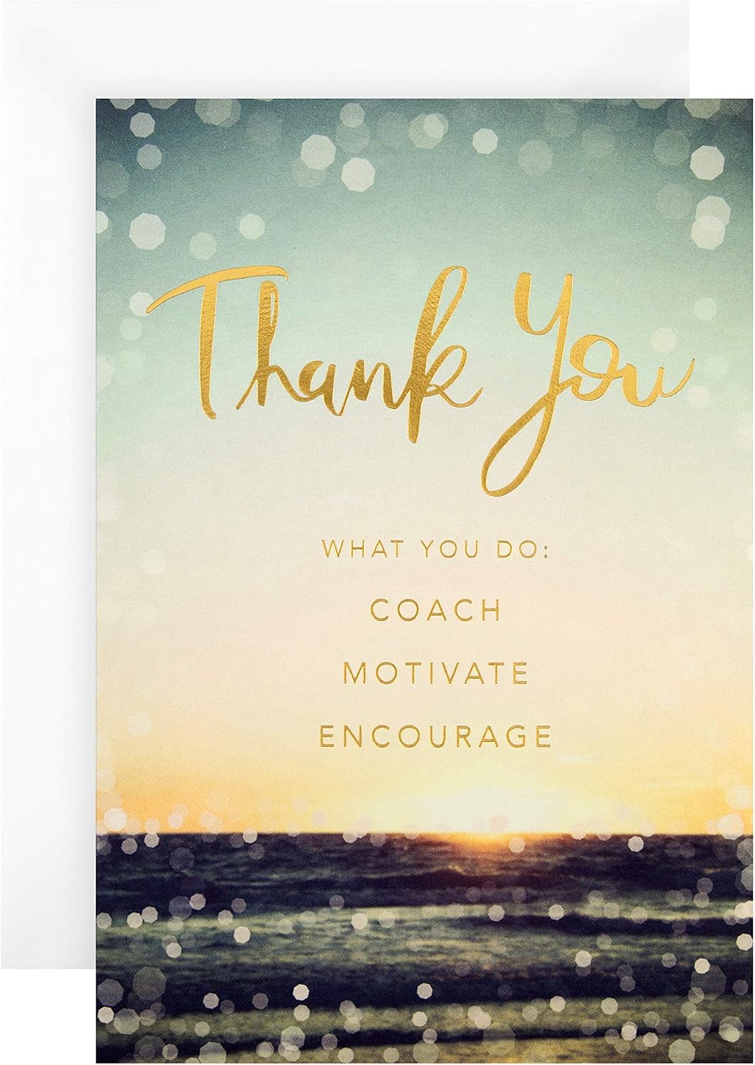 Hallmark Emotive Thank You Card - Photographic 'State of Kind' Design, green