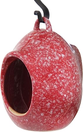 Amazon Com Byer Of Maine Egg Fly Through Bird Feeder Stoneware