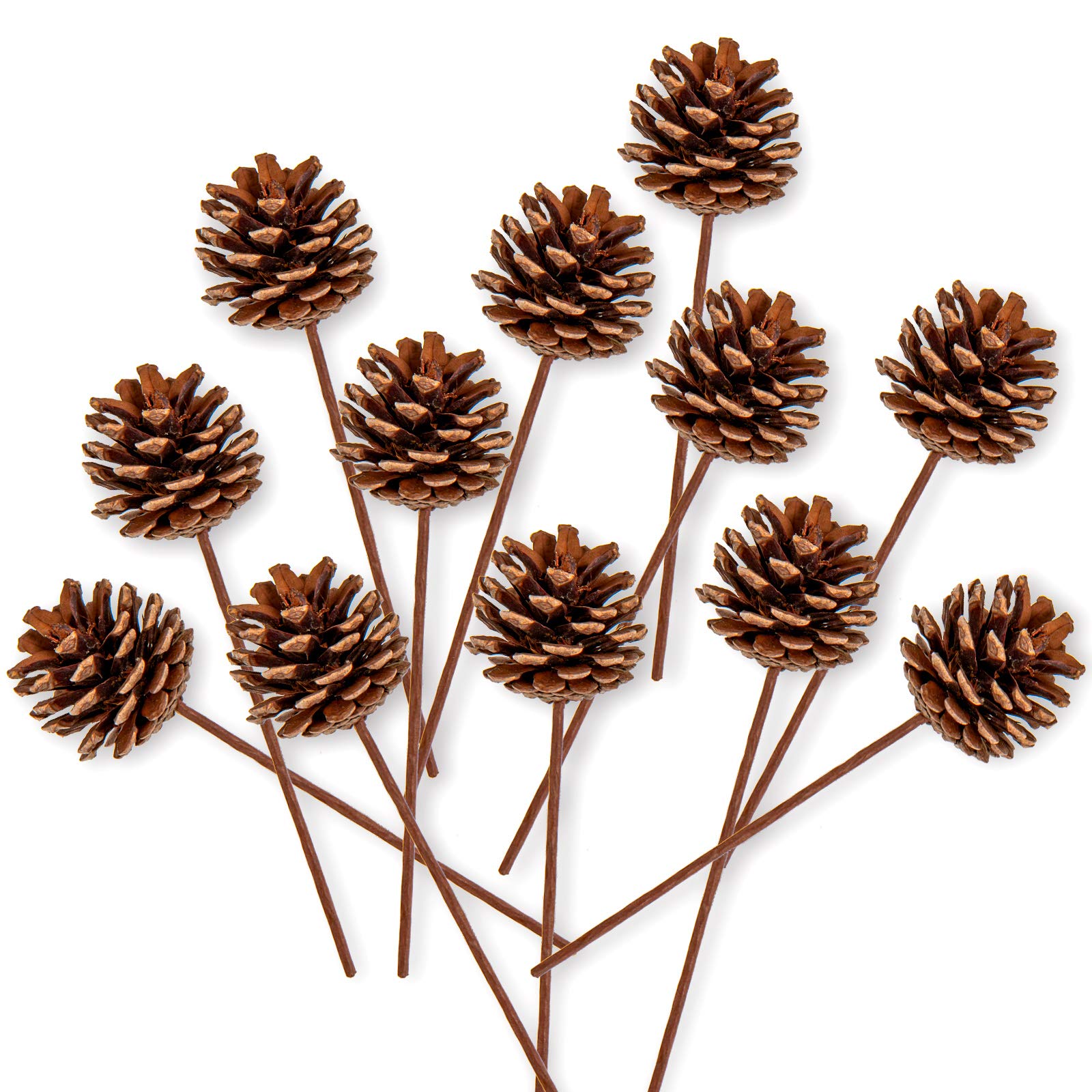Whaline Christmas Natural Pine Cones 12 Pieces Pinecone Picks Christmas Tree Ornament Holiday Centerpiece for Christmas Tree Home Party Decoration Supplies, 1.8 Inch