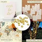 D.A.Y. Republic 300 Brass Metal Drawing Pins Thumb Tacks for Notice Boards Map view 6