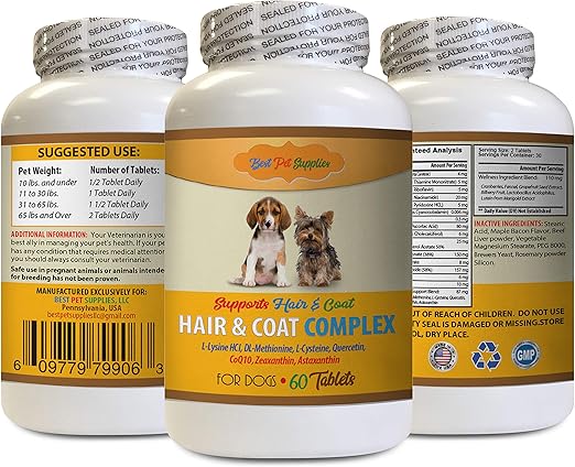 vitamin c safe for dogs