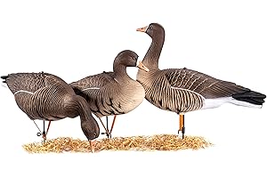 Heerweiyi Goose Decoys Pack of 6, Popular New Material EVA Collapsible Plastic Goose Hunting Decoys, Goose Decoys, Easy to Carry and Use, Cost Effective