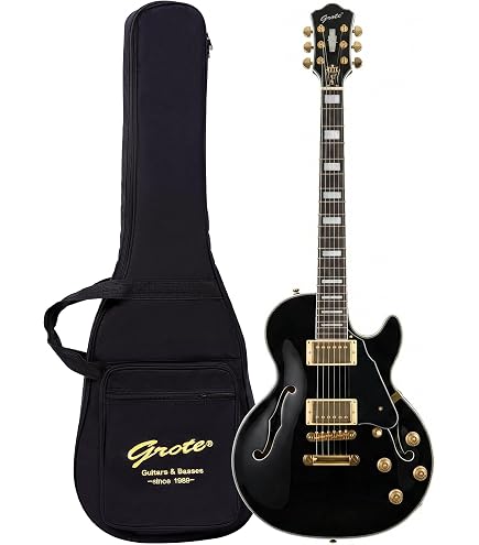 Amazon.com: Grote LPF-001 Semi-Hollow Body Electric Guitar Coils