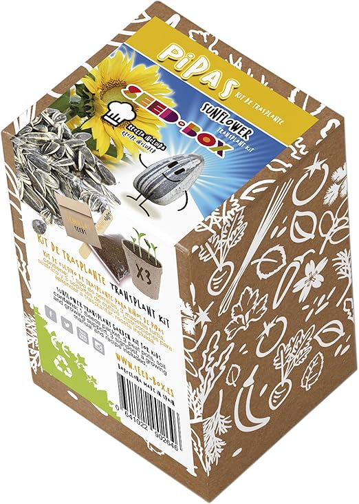 SeedBox KTKPP Huerto Urbano kit trasplante de pipas, para niños ...