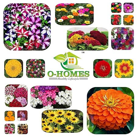 O-Homes Multicolor Flower Seeds | 10 Summer and 10 Winter Total 20 types | Detailed Instruction Manual also included | Home Garden | 1000+ seeds