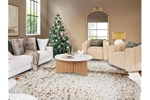 Guyi Rare Area Rug (Clearance Rug 05)