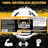 Vitanboost Beta Ecdysterone 1200mg 60 Count Lean Muscle Strength High Purity view 2