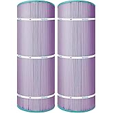 Hurricane Filters 2 Pack HF8410-01 Platinum Purple Pool Filter Cartridge - Replacement for PJANCS100, Unicel C-8410, Filbur FC-0821, Jandy Industries CS 100