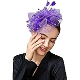 BABEYOND Fascinator Hats for Women Tea Party Hat Kentucky Fascinators Headband Derby Hats Wedding Flower Feathers Hair Clip