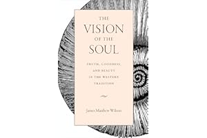 The Vision of the Soul: Truth, Goodness, and Beauty in the Western Tradition