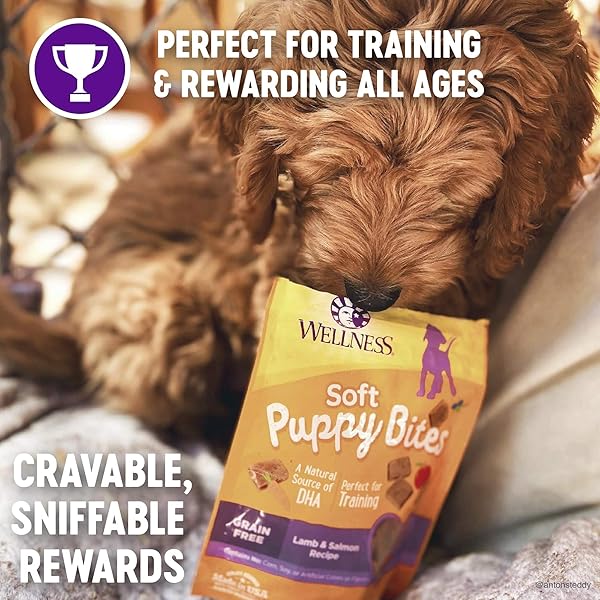 WELLNESS PUPPY TREATS, NATURAL, TRAINING TREAT, GRAIN FREE, SOFT LAMB & SALMON (8 OUNCE BAG)