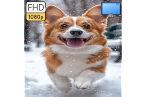 dog �C Calming Music & Scenes for Dogs For Fire TV