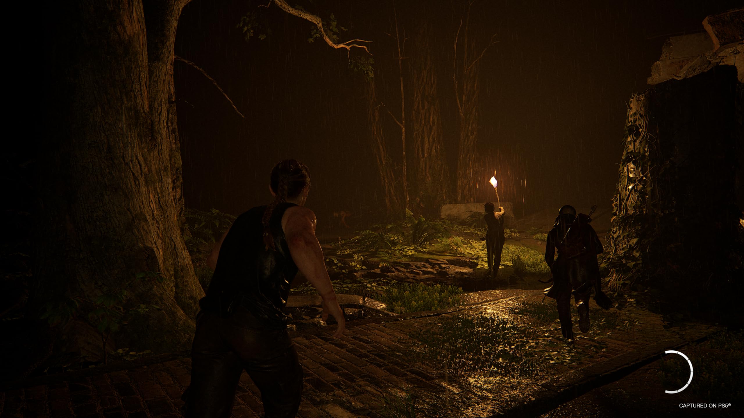 The Last of Us Part II (Remastered) (Nordic)