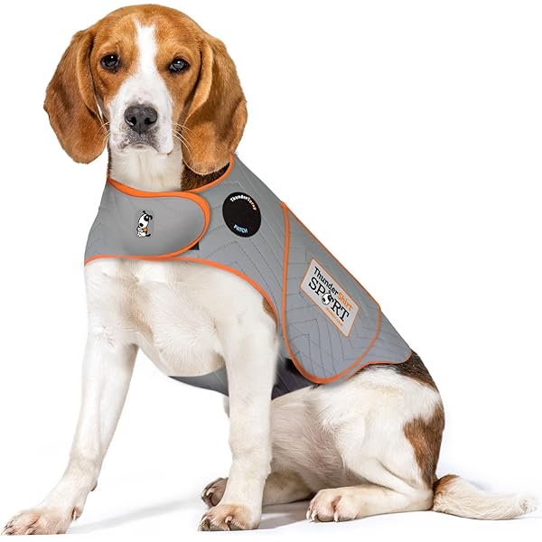 thundershirt amazon