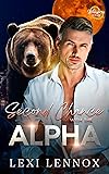 Second Chance With The Alpha: A Fated Mates Shifter