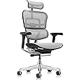 Ergohuman Eurotech GEN2 High Back, Mesh Executive Office Chair with Adjustable Lumbar Support – Ergonomic Tilt Control, Seat Slider, Armrests and Headrest Adjustment, Grey