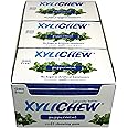 Xylichew 100% Xylitol Chewing Gum - Non GMO, Non Aspartame, Gluten Free, and Sugar Free Gum - Natural Oral Care, Relieves Bad Breath and Dry Mouth - Peppermint, 288 Count