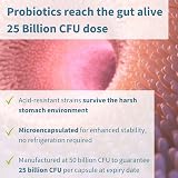 Igennus Probiotics & Prebiotics 2 in 1 25B CFU Lab4 30 Veg Caps view 4