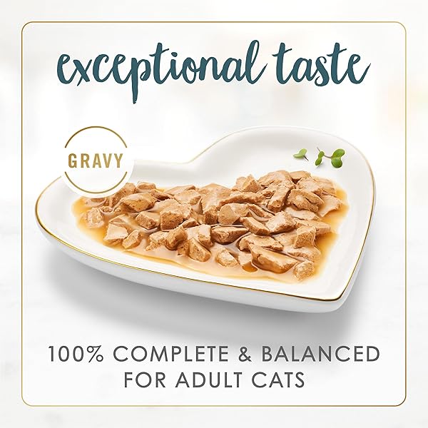 PURINA FANCY FEAST GRAVY LOVERS TURKEY FEAST GRILLED GOURMET CAT FOOD IN WET CAT FOOD GRAVY – (PACK OF 24) 3 OZ. CANS