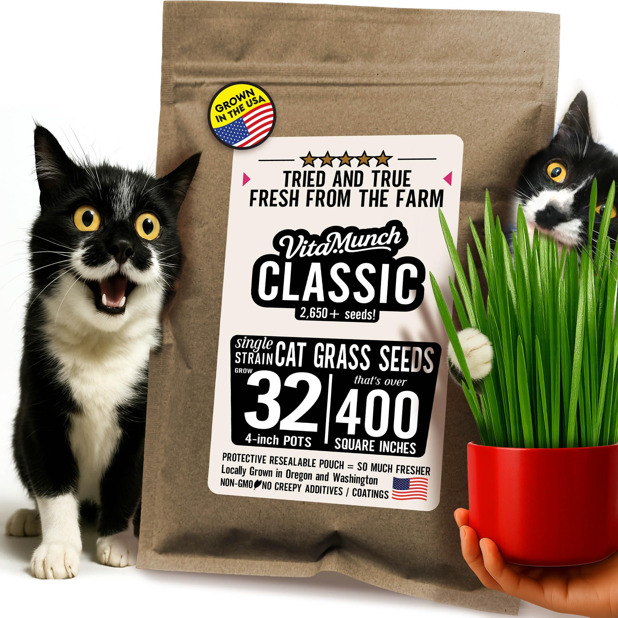 Photo 1 of Cat  Seed Classic Non-GMO Wheatgrass + Grows 32 Pots (Over 400 Sq in) Ready in 5 Days + So Fresh It Sprouts Faster (Just Packaged, Better Packaging) Trusted by Vets for Indoor Cats –2650+ Seeds