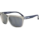 pugs sunglasses amazon