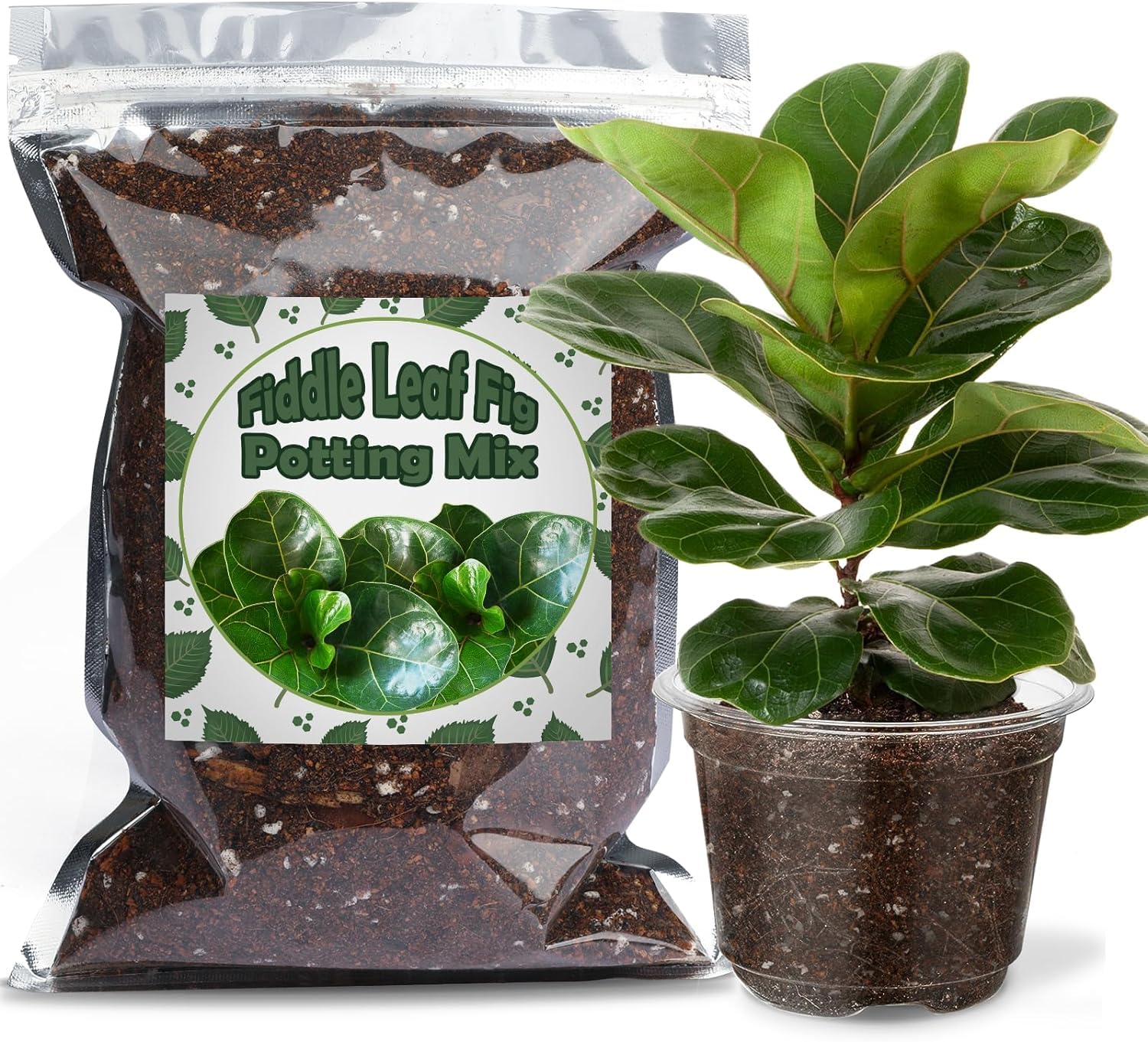 Organic Fiddle Leaf Fig Potting Mix 10L, Indoor Plants Potting Mix for All Potted Ficus Lyrata Plant, Grow Healthy houseplants Indoors