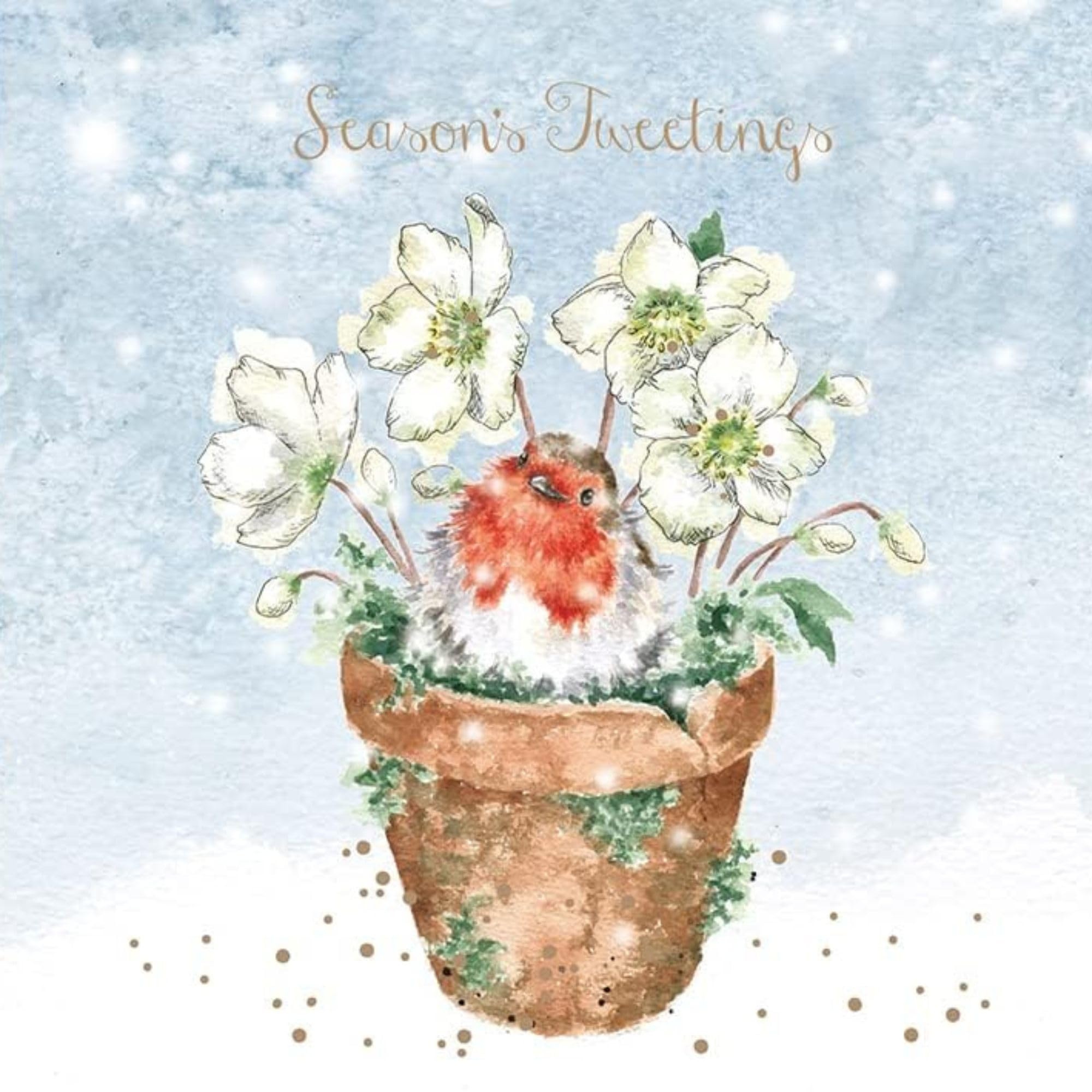 Wrendale Designs by Hannah Dale - Season’s Tweetings - Christmas Card Box Set - Pack of 8 — image 1