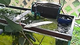 Review Image by AKing AKing