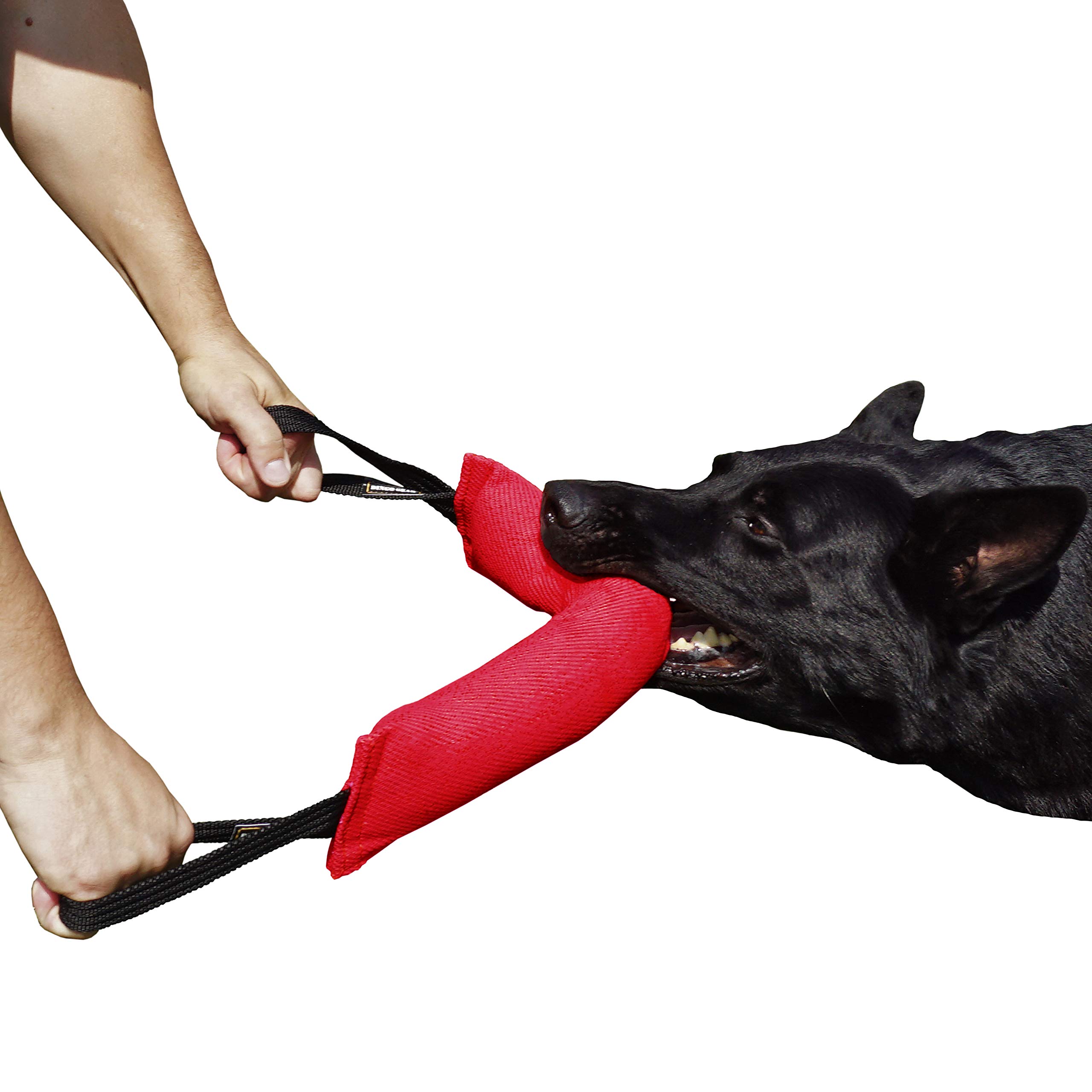 DINGO GEAR Nylcot Bite Tug for Dog Training K9 IGP & Fun, 2 Handles, Red 45 x 8 cm