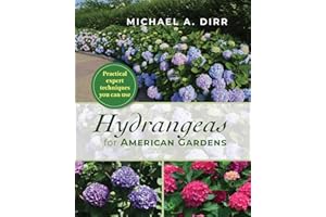 Hydrangeas for American Gardens