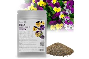 Groundio Johnny Jump Up Seeds, 10000+ Perennial Wild Violet Seeds for Planting, Edible Flowers, Attracts pollinators, Grown in The USA