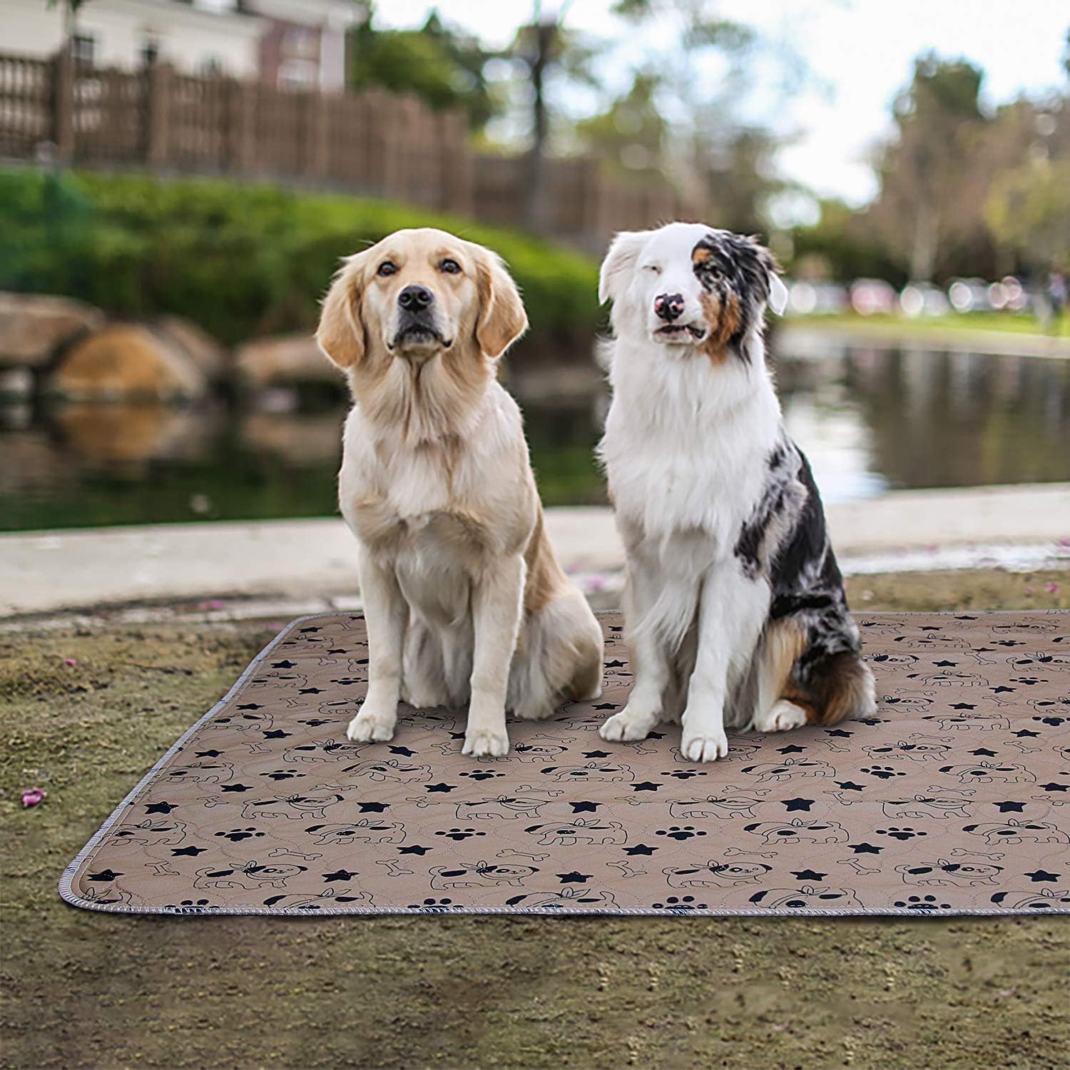 AK KYC 2 Pack Washable Pee Pads for Dogs Puppy Pads Dog Training Pad Waterproof Reusable Fast Absorbent Travel for Dog(35‘’x 31‘’) : Pet Supplies