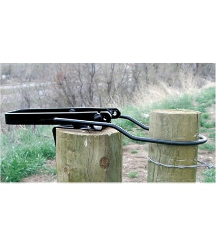 Automatic Self-closing Medium Gate Closer Spring - Self-Closing ...